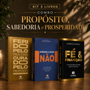 Kit 3 Livros Propósito, Sabedoria e Prosperidade | Ferido pelo Processo, Curado pelo Propósito + Aprenda a dizer Não + Fé e Finanças