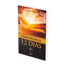 Livro - Como Pregar em 12 Dias - Pr. Nerildo Accioly