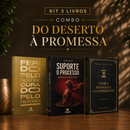 Kit 3 livros — Do Deserto à Promessa: Ferido pelo Processo, Curado pelo Propósito + Suporte o Processo + Entre a Promessa e o Cumprimento