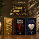 Kit 3 livros — Cicatriz Guardada no Processo: Ferido pelo Processo, Curado pelo Propósito + Suporte o Processo + Como Lidar com Traidores sem Perder o Coração