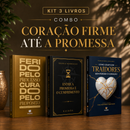 Kit 3 livros — Coração Firme Até a Promessa: Ferido pelo Processo, Curado pelo Propósito + Entre a Promessa e o Cumprimento + Como Lidar com Traidores sem Perder o Coração