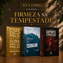 Kit 3 livros — Firmeza na Tempestade: Ferido pelo Processo, Curado pelo Propósito + Tsunami: Como Empreender no Caos + Suporte o Processo