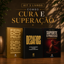 Kit 3 livros — Curados no Deserto: Ferido pelo Processo, Curado pelo Propósito + Desafios + Suporte o Processo