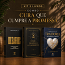 Kit 3 livros — Cura que Cumpre a Promessa: Desafios + Entre a Promessa e o Cumprimento + Como Lidar com Traidores sem Perder o Coração