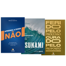 Combo Visão de Águia nos Negócios | Ferido pelo Processo, Curado pelo Propósito + Tsunami: Como Empreender no Caos + Aprenda a Dizer Não